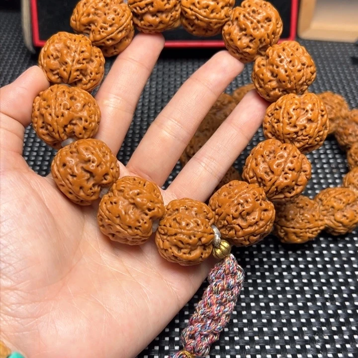 手串金刚菩提25帝王花