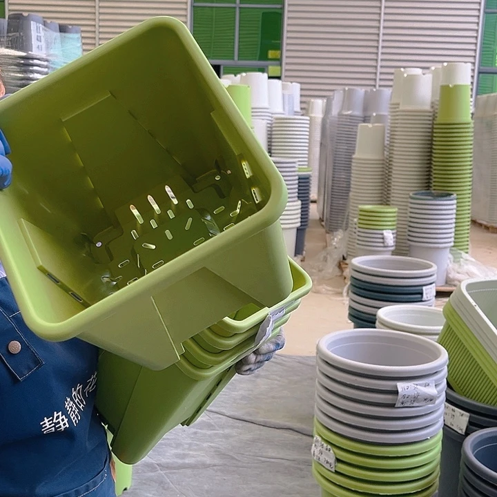 方盆F 22果绿色5个无托