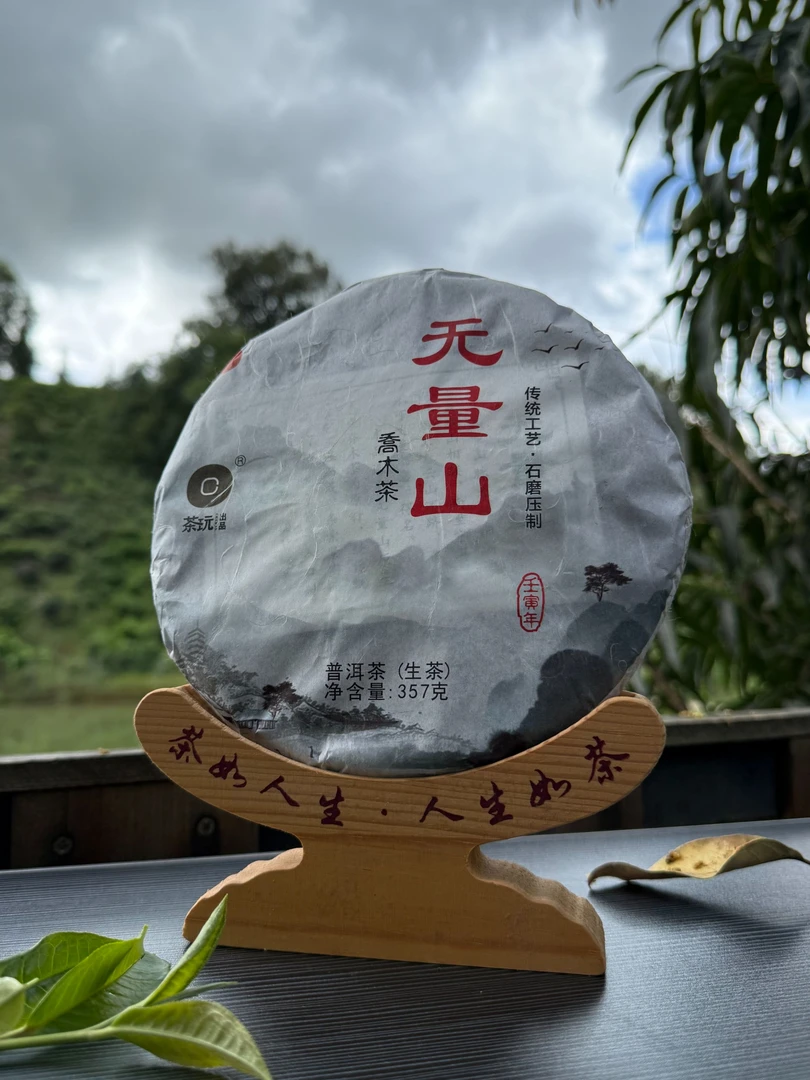 【夏山见】 2022年 无量山 生茶 357克 普洱茶