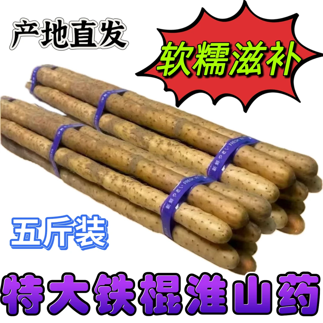 鲜挖现发正宗垆土特大铁棍山药软糯甜糯白玉山药甜糯蔬菜河南温县