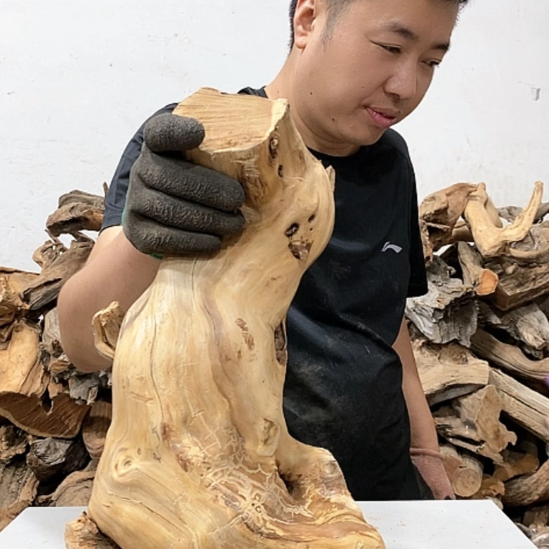 【闪购商品】柏木椿我们都是好孩子啊