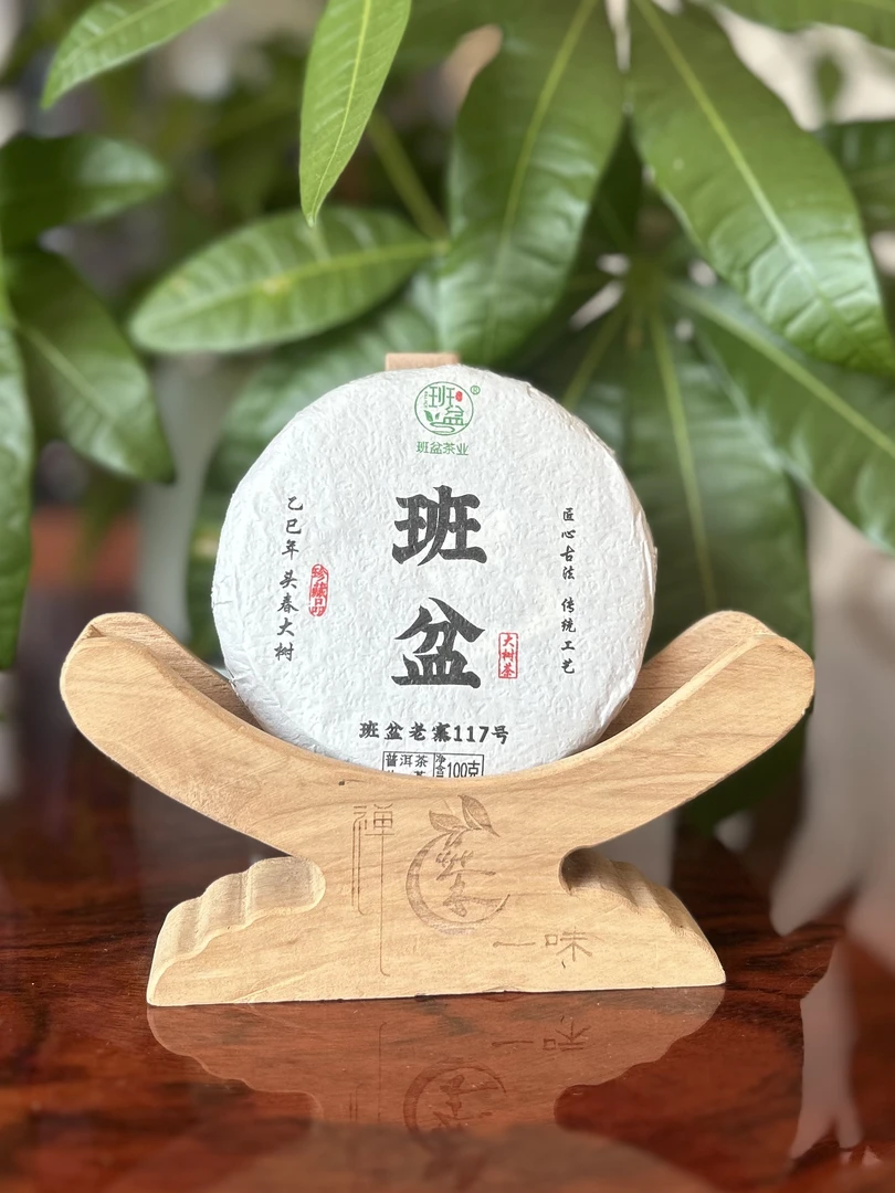 【班盆老寨117号】2025年头春大树