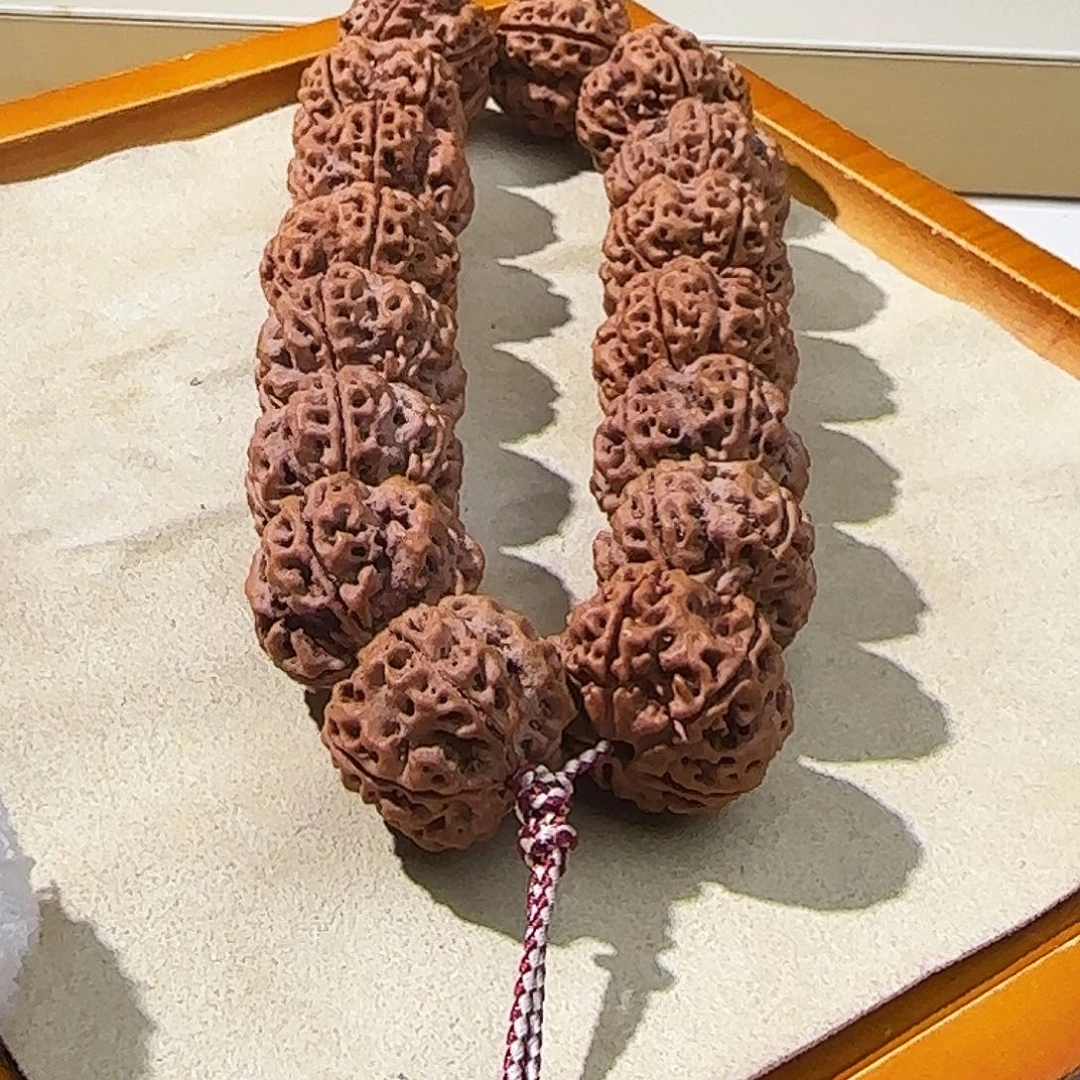 金刚菩提吊坠定制级梁王粗筋蜂离双龙