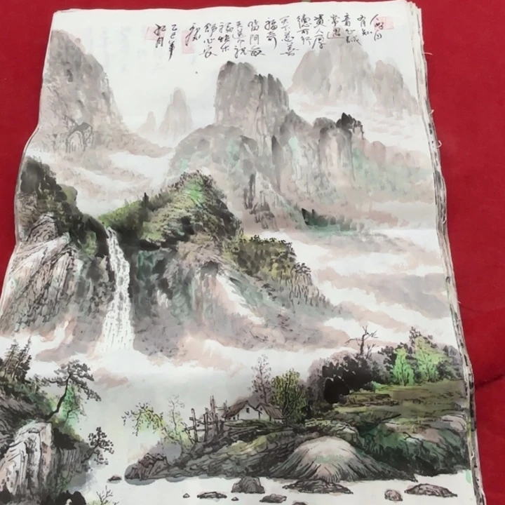 国画花鸟的翅膀和翅膀是一
