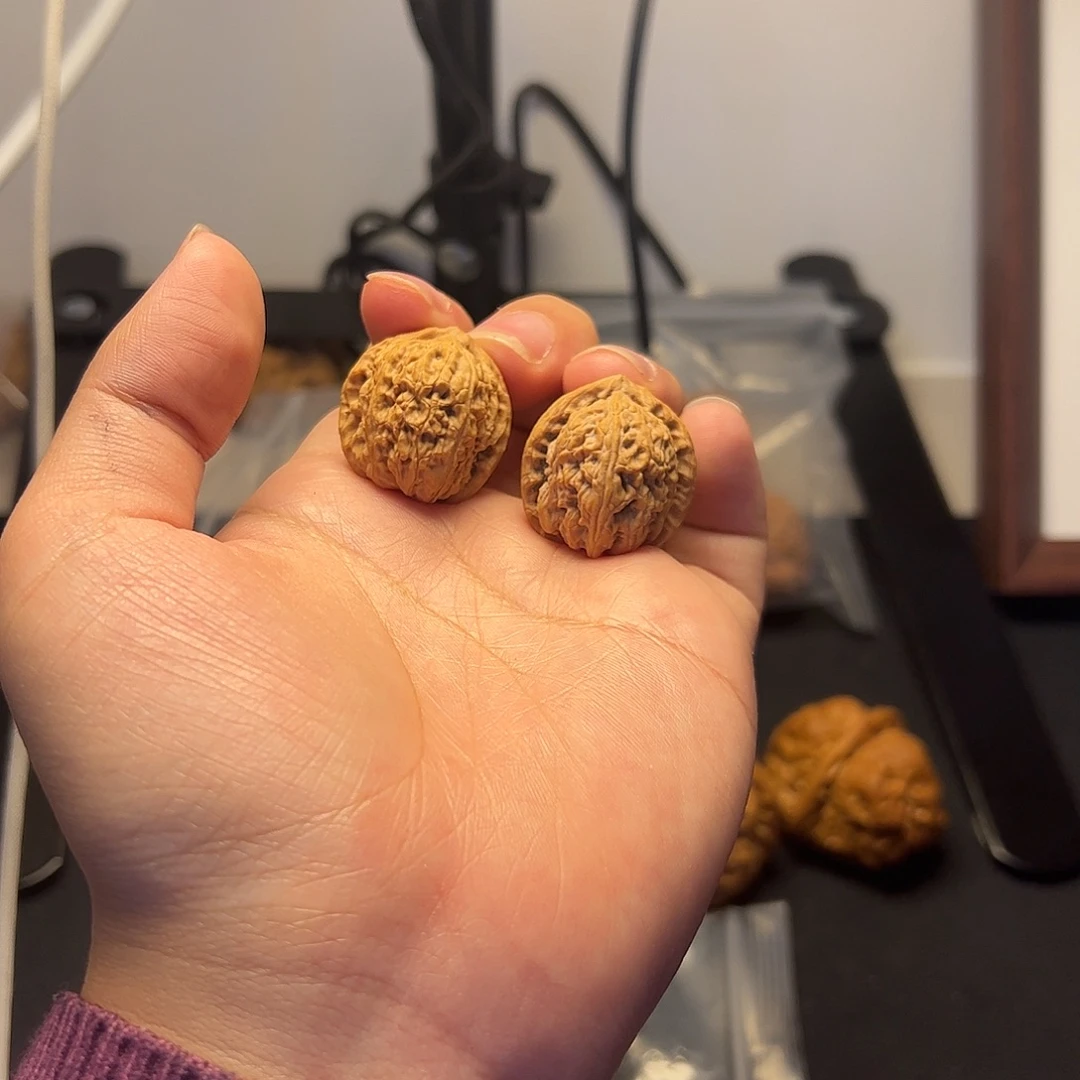 文玩核桃把件白狮子