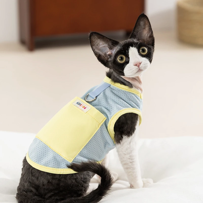 爆款猫咪春夏季降温防暑彩虹字印凉凉衣狗狗户外防晒狗背心宠物猫