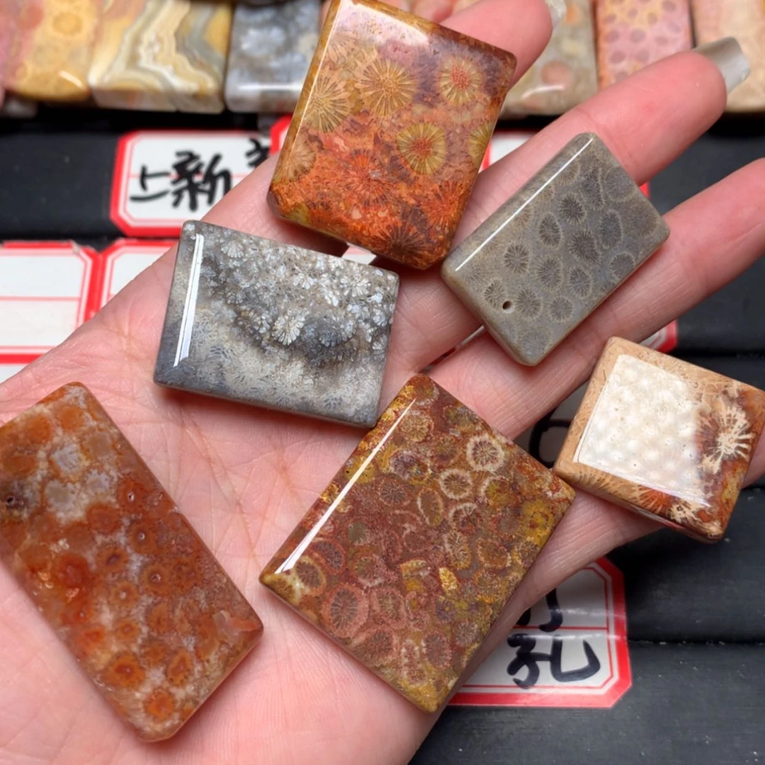 【闪购商品】未镶嵌颈饰硅化玉暴****猪