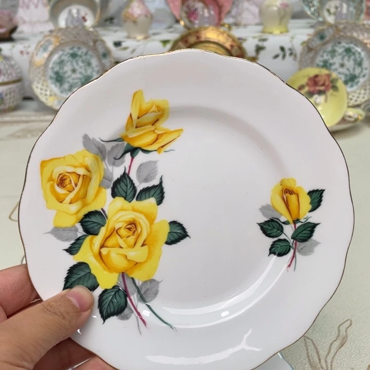 盘维多利亚欧洲中古