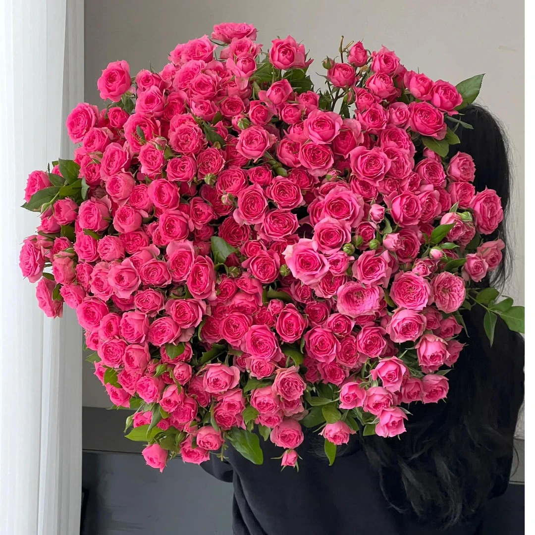 『京东包邮』苏菲宝贝多头玫瑰泡泡深水养护赠送鲜花营养液