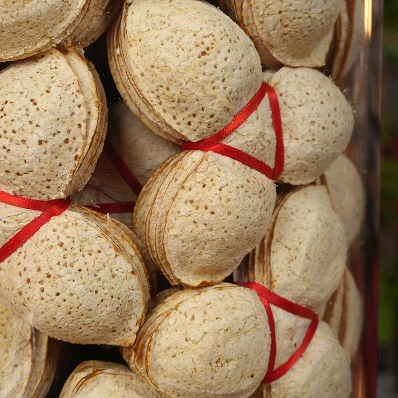 【2025冬后扎皮】小份量2025梅江黎大九围原枝冬后扎皮老树新会陈皮