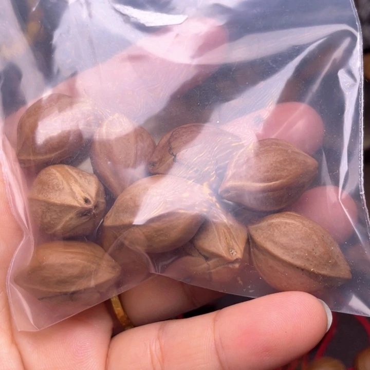 自***育手串/手链橄榄核橄榄核1.6左右铁头