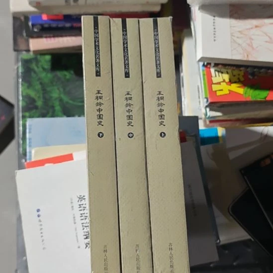 王忠林中国史三本一套。