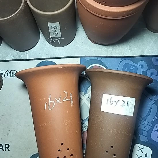 红泥紫泥小兰两个