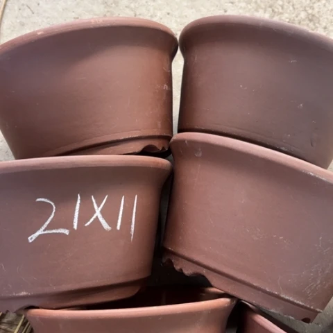 无***诗50-4。  21-11。