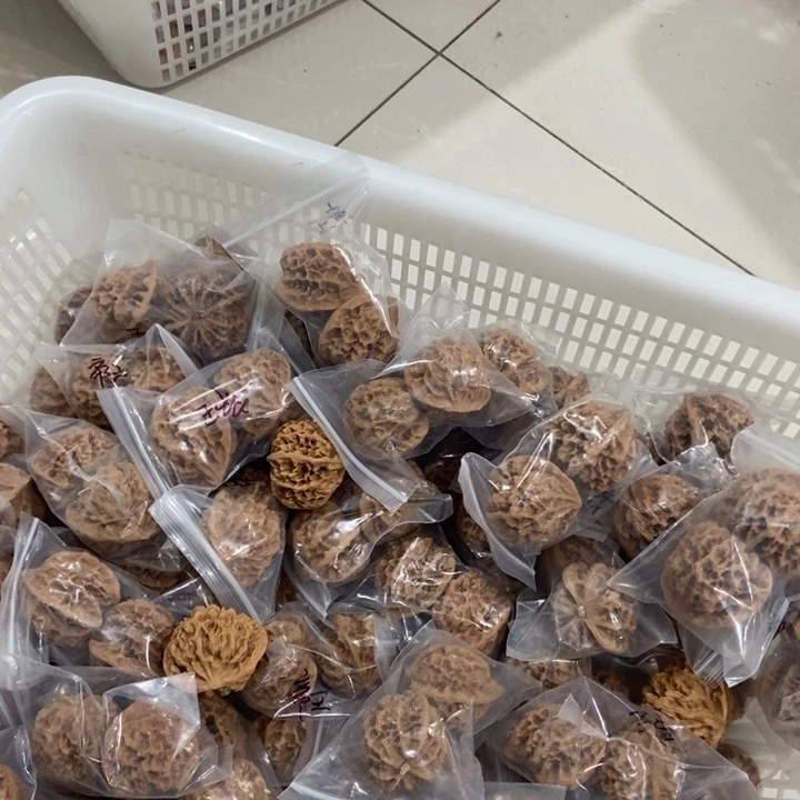 吊坠文玩核桃帝王