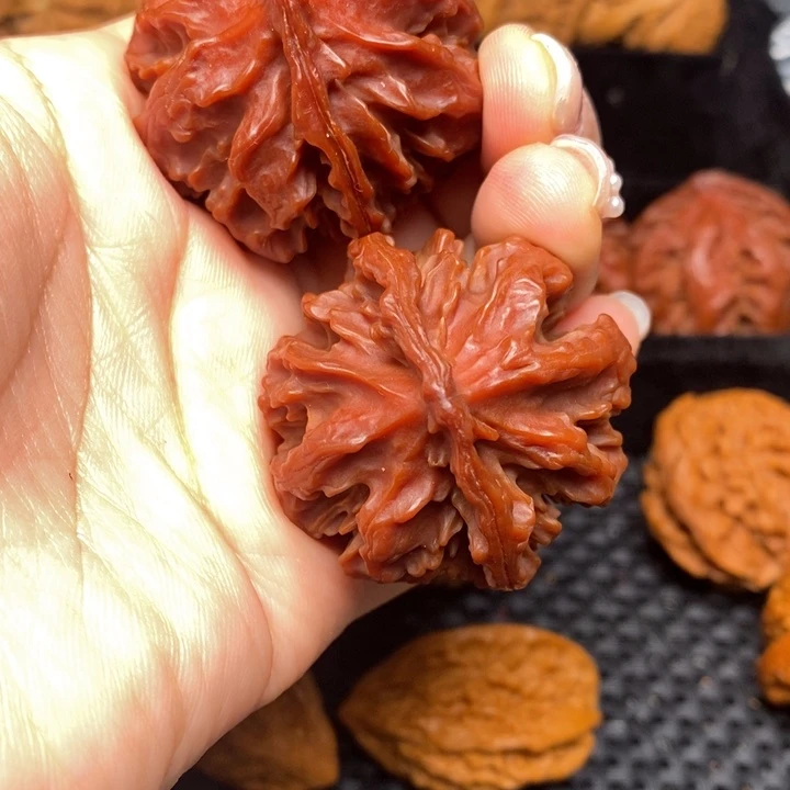 秦岭野生文玩核桃8