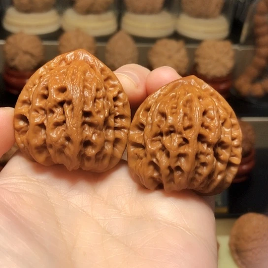 特价：精品野生佛度