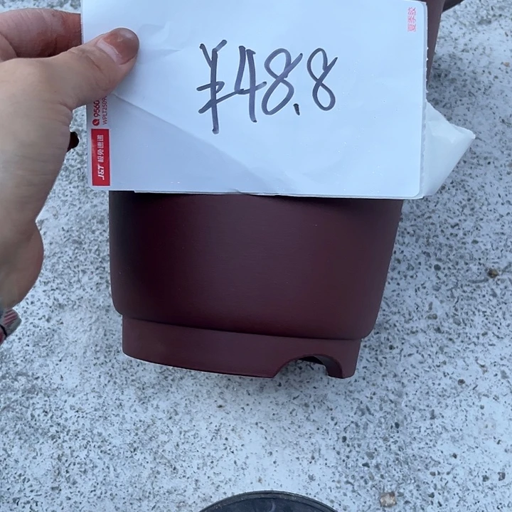 其他紫砂558888999999959998