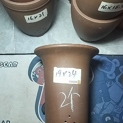 大号兰花两个花盆