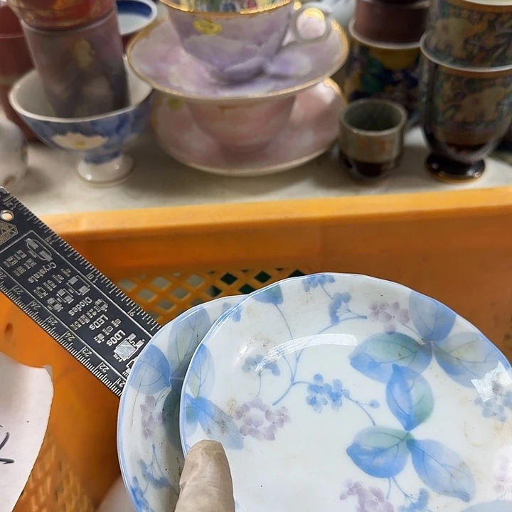 碟开播啦…开播啦