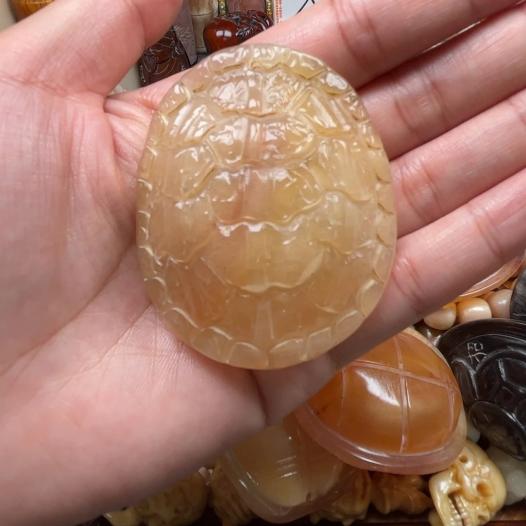 其他鹿骨人工养殖驼骨18