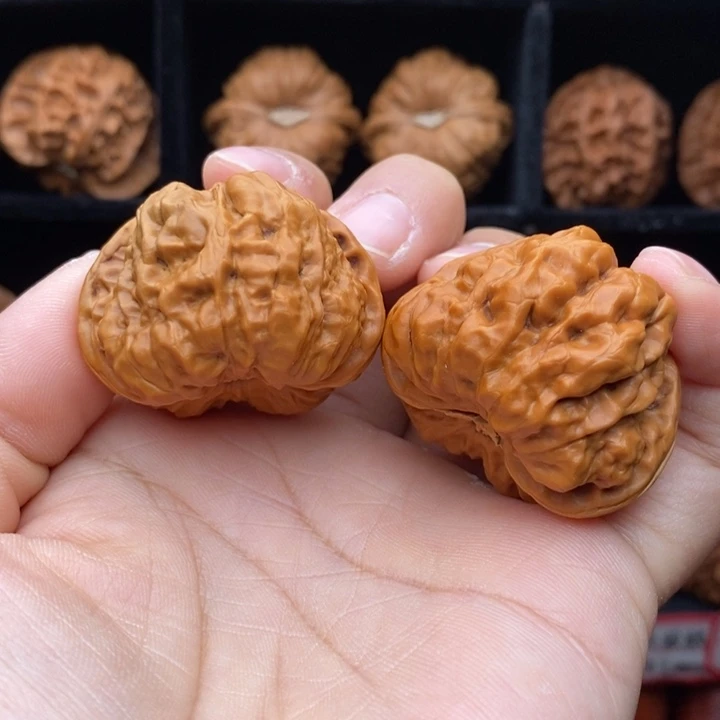 核桃福利蛙蛙蛙40尺练手对