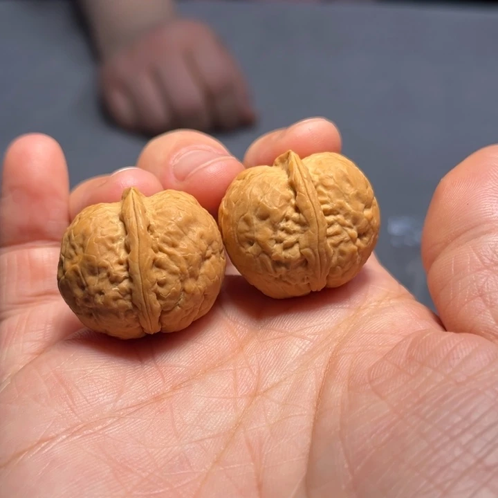 文玩核桃把件天启元宝8321