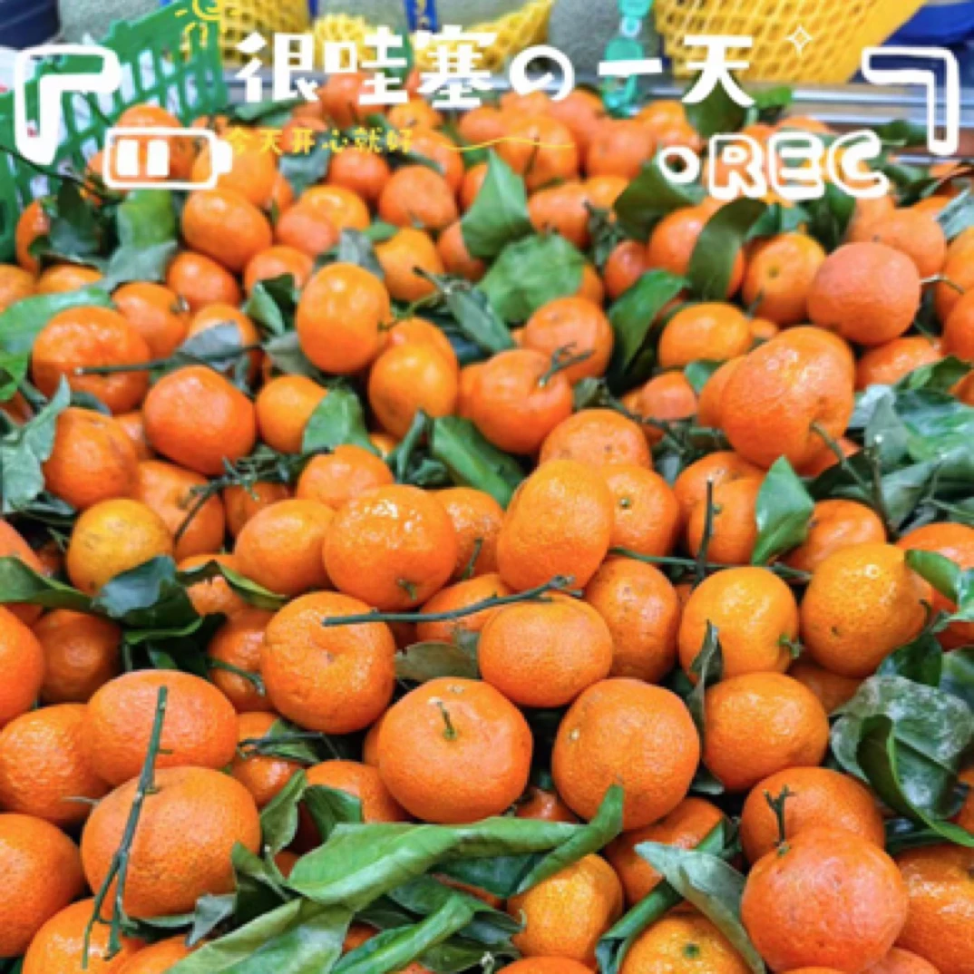 精品广西沙糖桔 500g