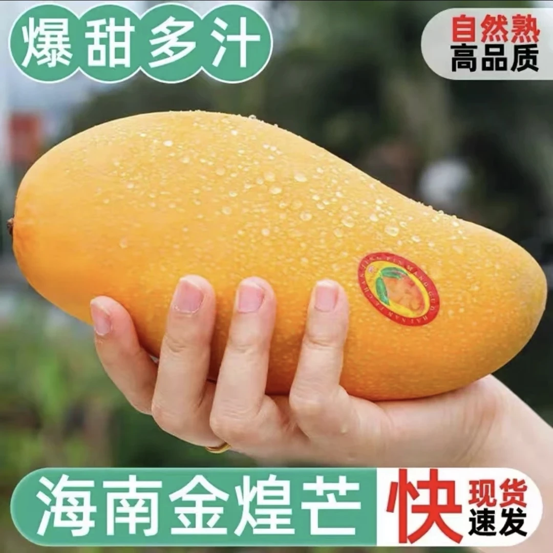 正宗海南金煌大芒果新鲜芒果10斤一箱香甜多汁应季水果产地直发