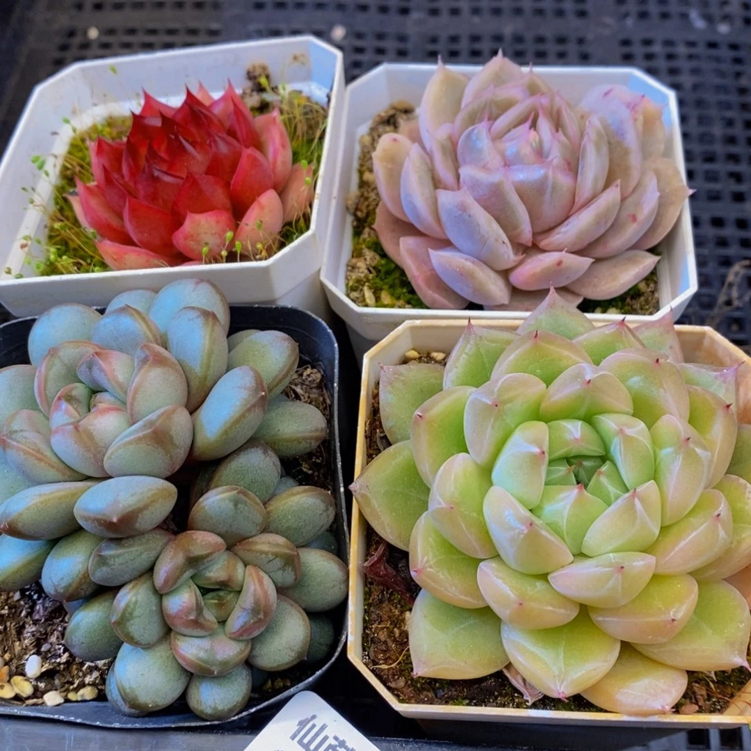 011信任的人和事都