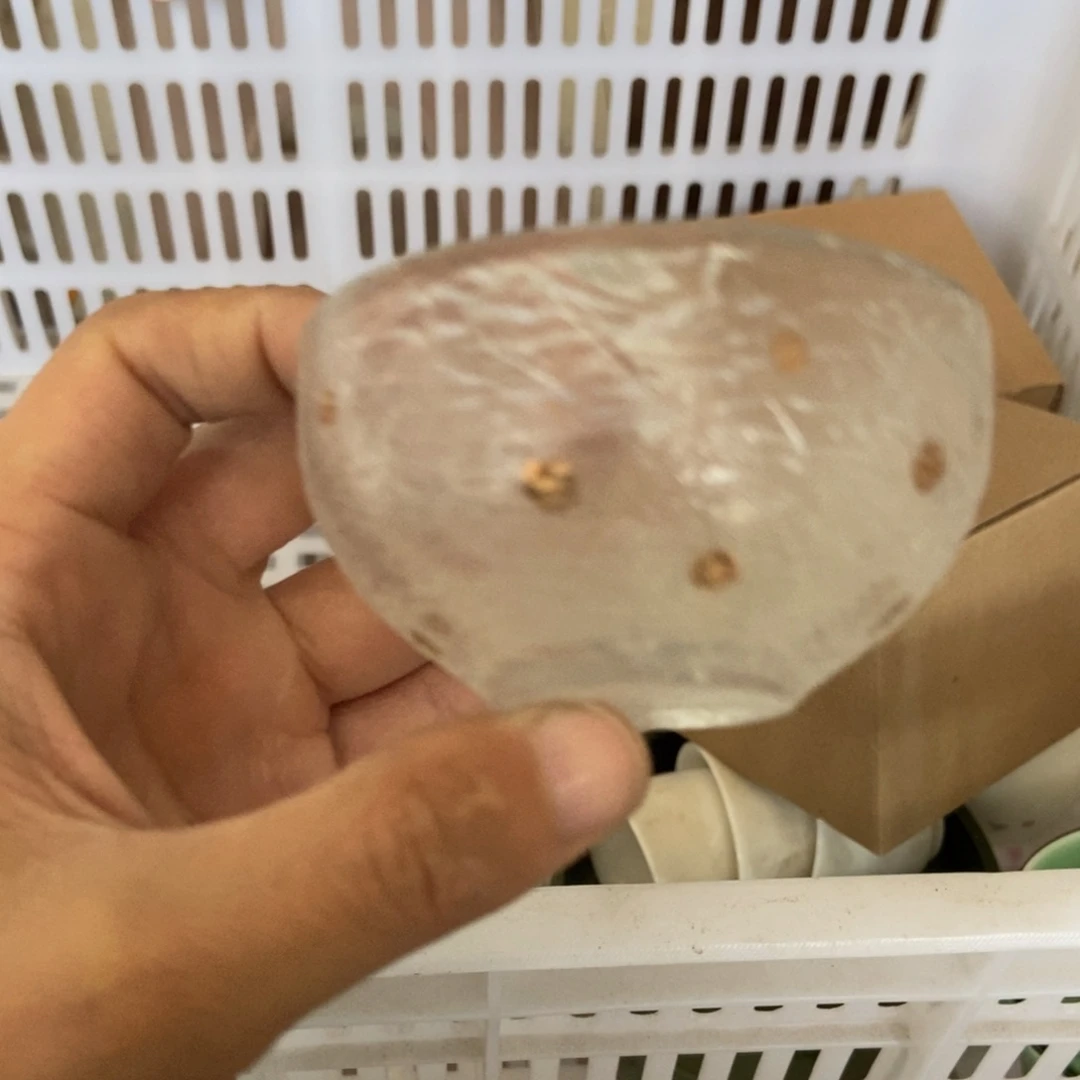 杯直播链接无运费险瑕疵介意勿拍