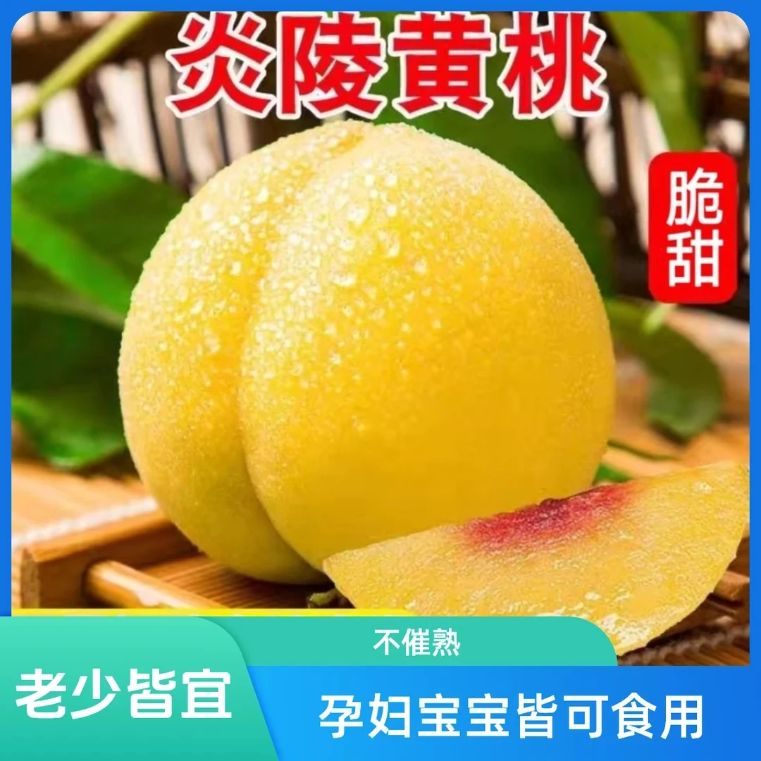 炎陵黄桃中通包邮小中大货家庭装特价