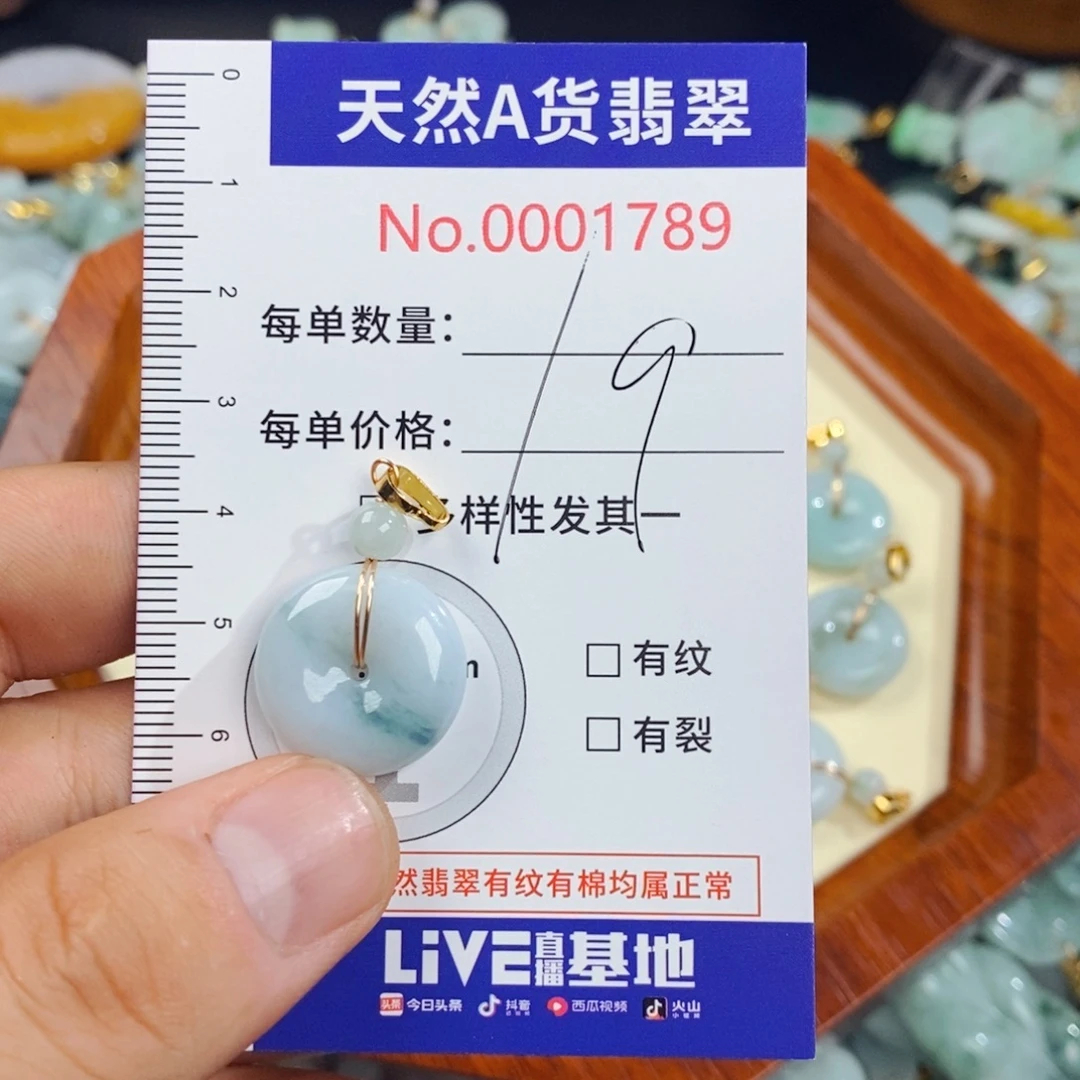 颈饰未镶嵌翡翠1789