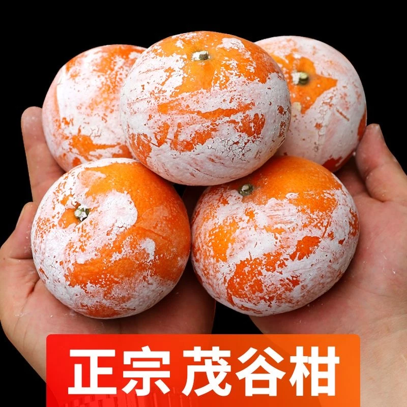 正宗广西茂谷柑脏脏柑新鲜现摘时限应季孕妇水果5/9斤整箱包邮