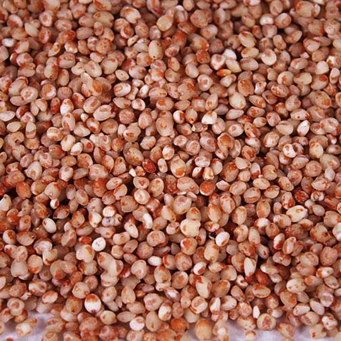 东北红高粱米老式笨高粱米去皮优质红高粱米新米不糯2025现磨便宜