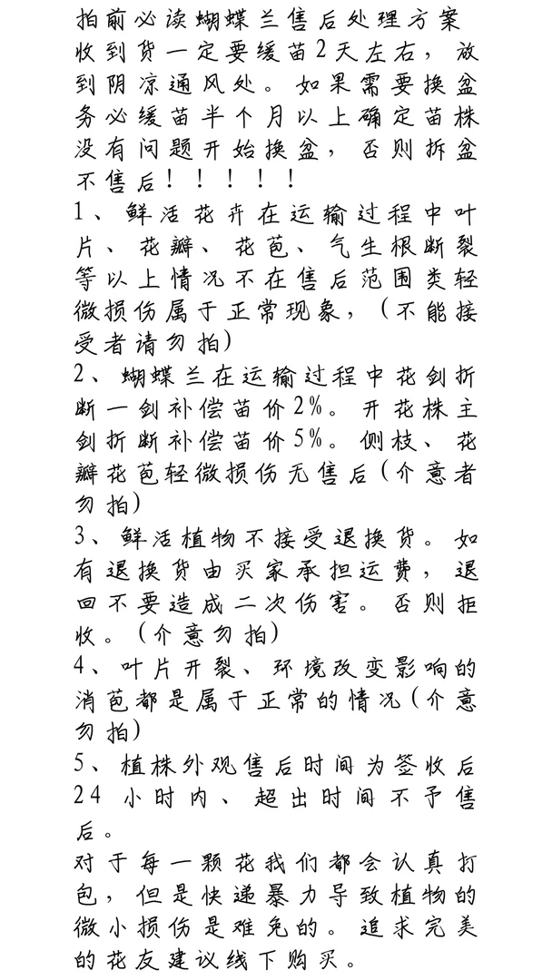 蝴蝶兰一物一拍红鹿角