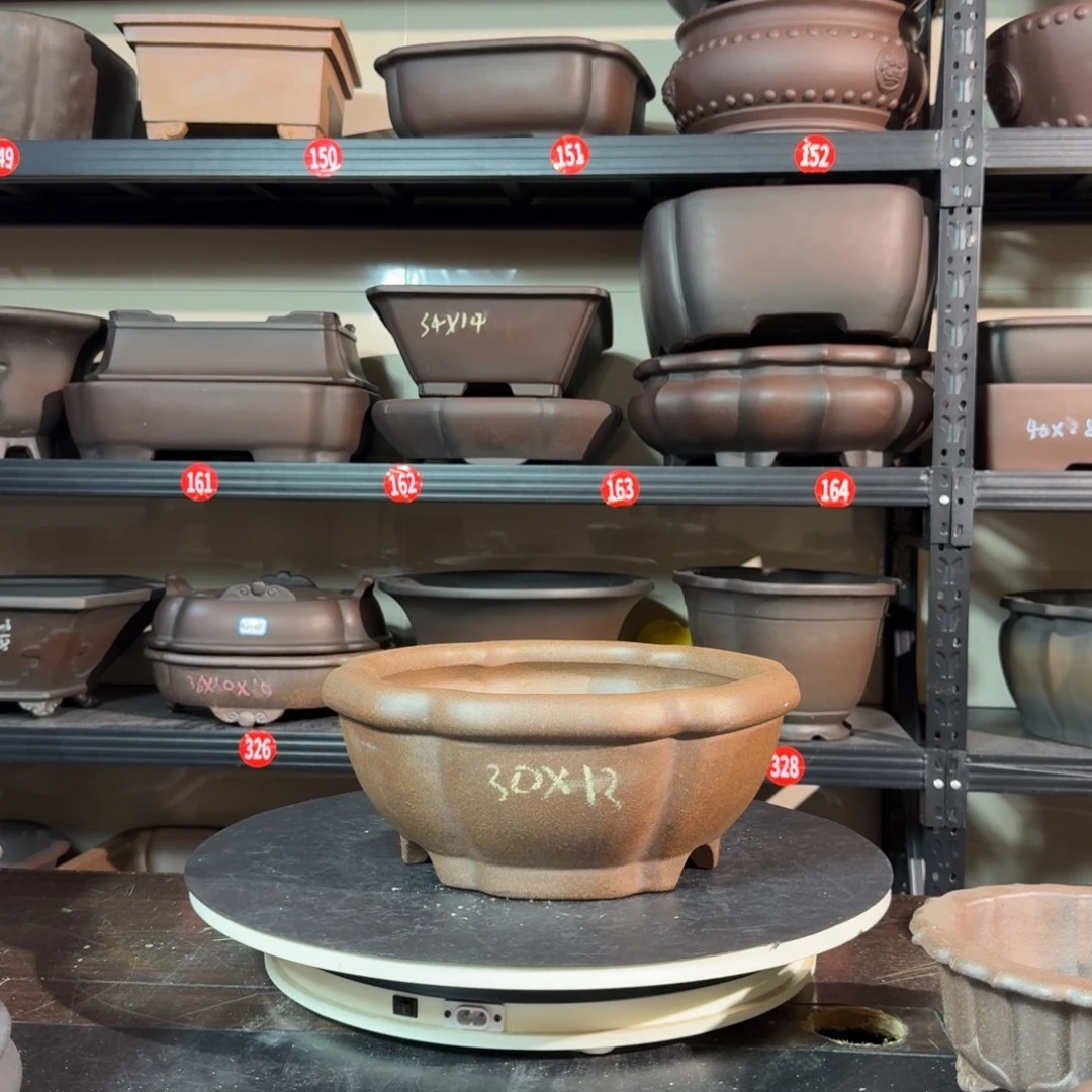 紫砂呜呜呜我的宝呜呜我好喜欢这个