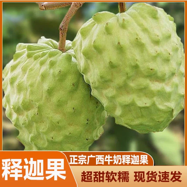 【果农自卖】释迦果新鲜番荔枝水果凤梨牛奶佛头果林檎释迦摩尼果