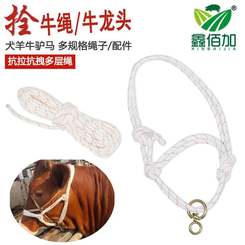 栓牛笼头绳牛龙头套牛用尼龙绳栓牛绳子牛缰绳套嘴加粗栓牛笼头套
