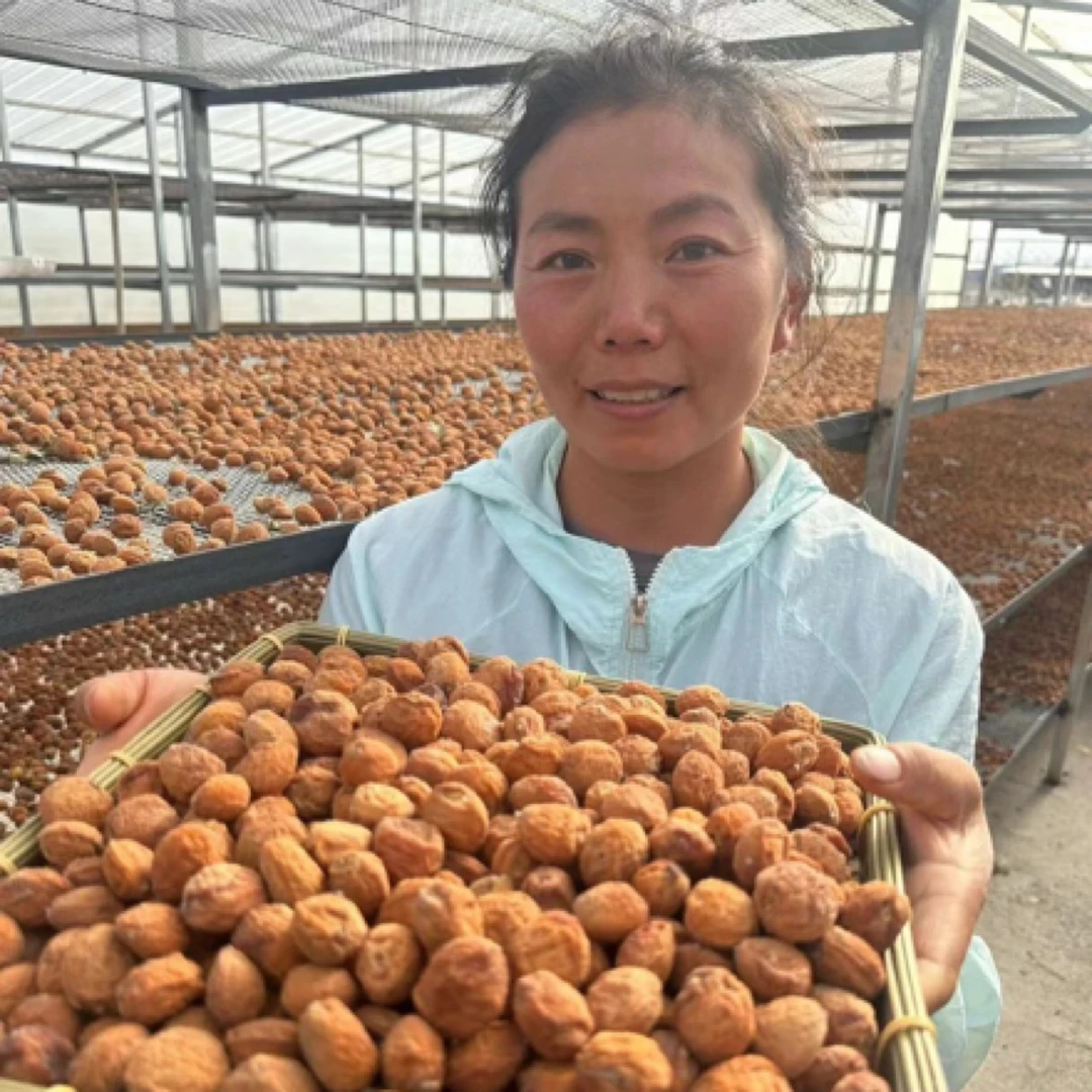 新疆直发杏干四团吊干杏自然风干一杏两吃老少皆宜追剧必备