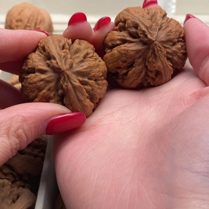 苏***文玩核桃把件霸王龙