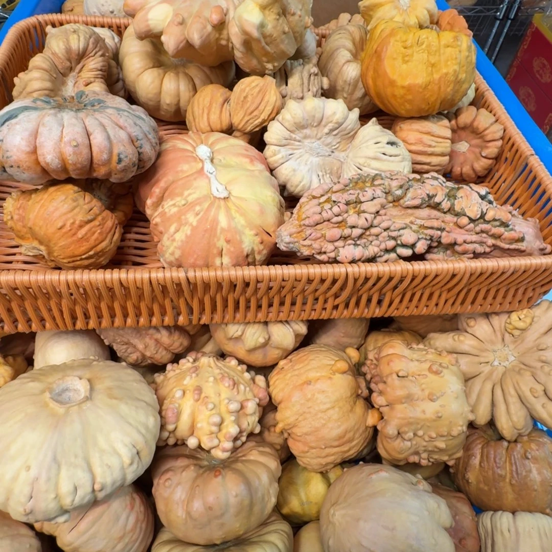 嘻***哈墨西哥葫芦特价无售后