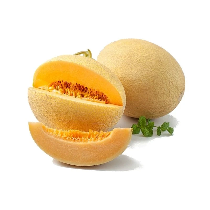 【新疆直发）正宗冷藏发货新疆金色年华哈密瓜当季新鲜脆甜水果