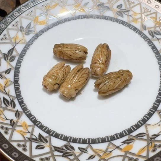 傻***头瓷片瓷瓷瓷瓷瓷瓷瓷瓷瓷