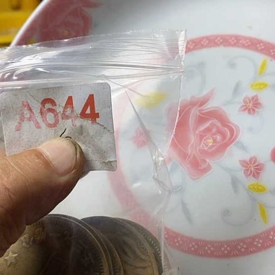 （***子瓷片我想知道为什么要