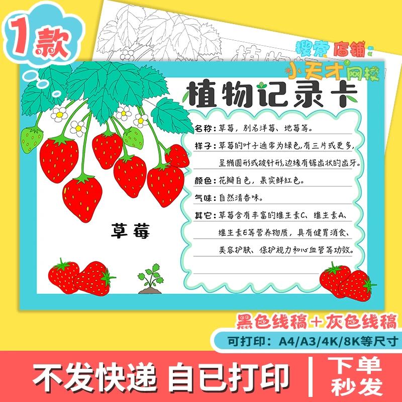 草莓植物记录卡手抄报电子读书卡e297