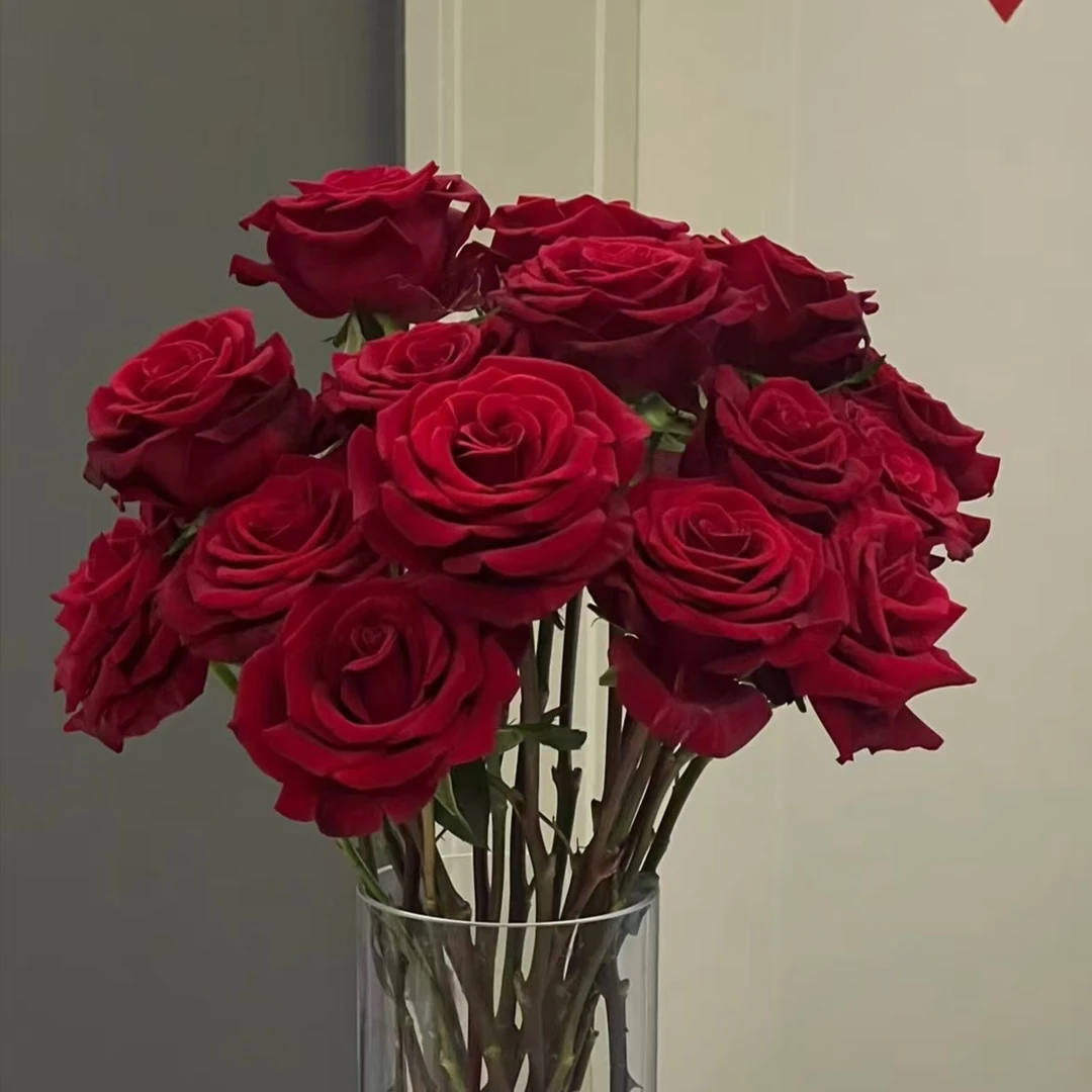 【黑魔术（网套玫瑰）】10枝单头玫瑰  | 全场任意满两单鲜花包邮