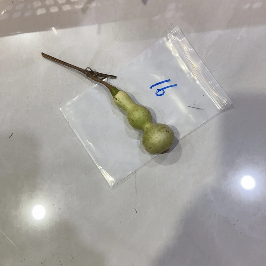 正***水青皮不包成青皮不包成