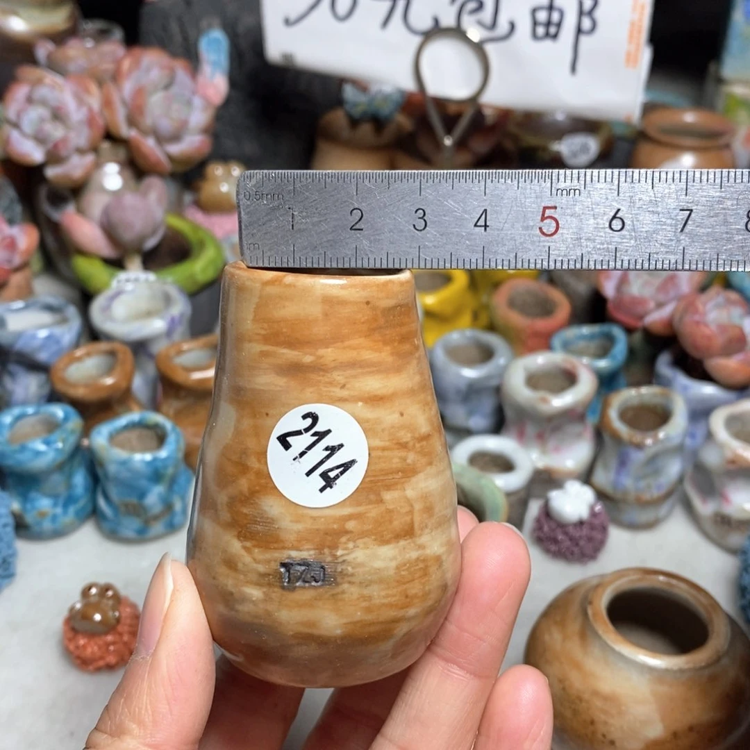 拍5送一个小礼物