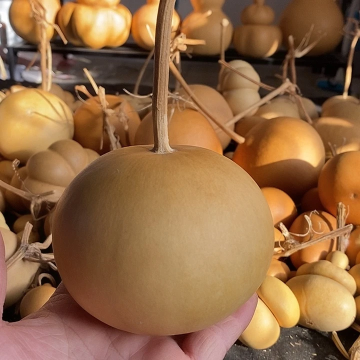 乐*吧葫芦的颜色是蓝色